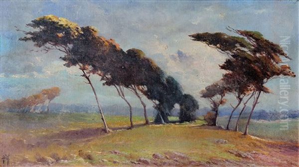 Paisaje Con Arboles - view 1