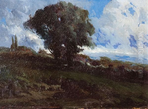 Paisaje De Campo Con Arbol - view 1