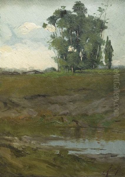 Arroyo - view 1