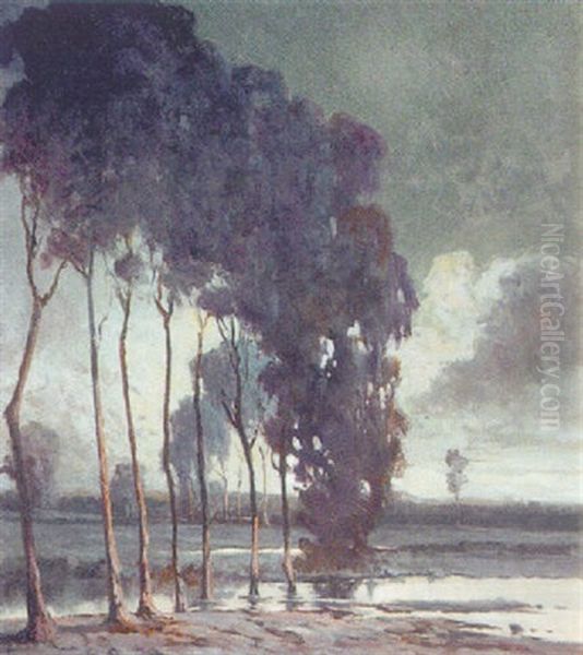 Quietud Invernal - view 1