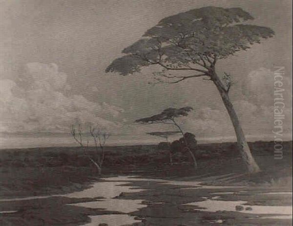 Quietud - view 1