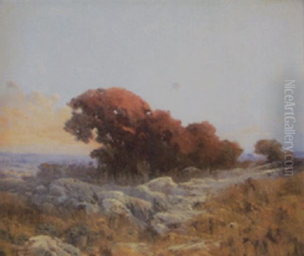 Herbstlandschaft - view 1
