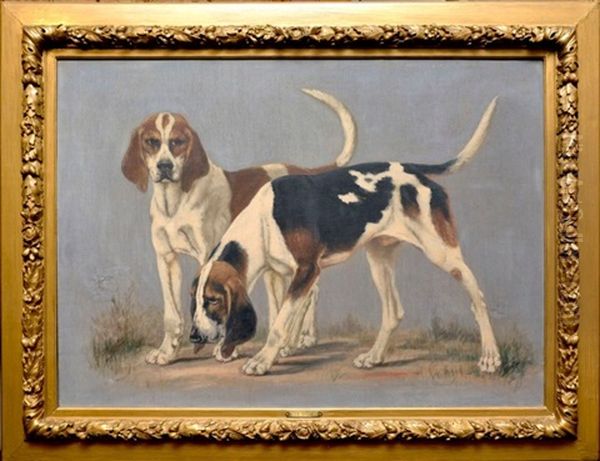 Couple De Chiens Courants - view 1