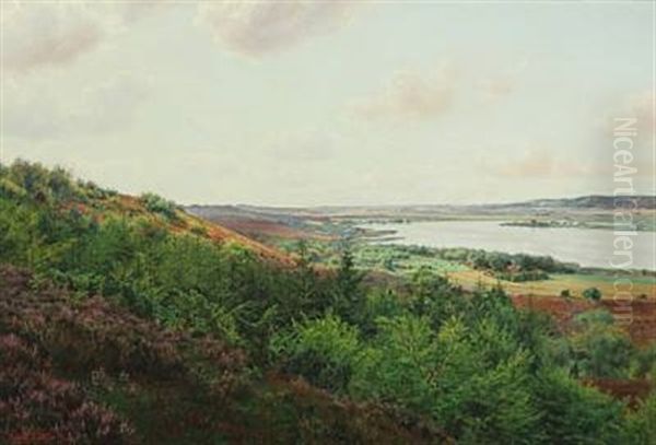 View Over Lake In Silkeborg - view 1