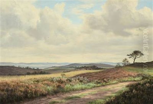 Moor Landscape - view 1