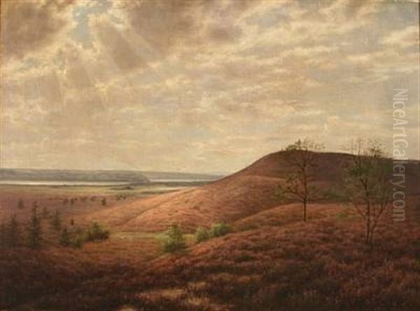 Moor Landscape - view 1