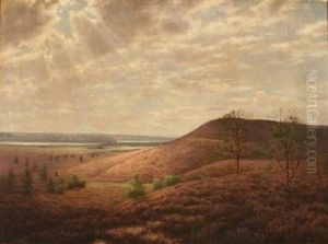 Moor Landscape