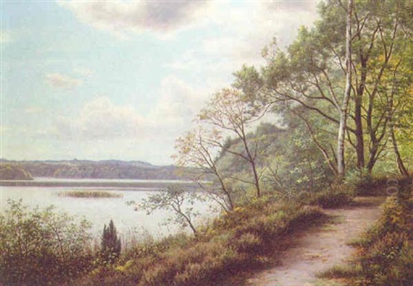 A Track By A Lake - view 1