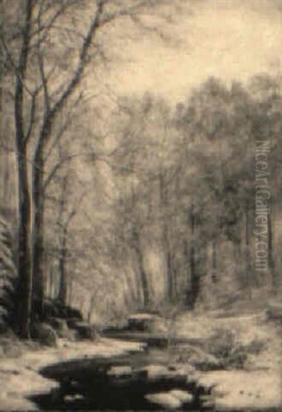 Frosty Day - view 1