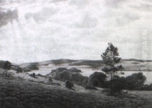 Thors+ Bakkerne Ved Virklund, Sommerdag