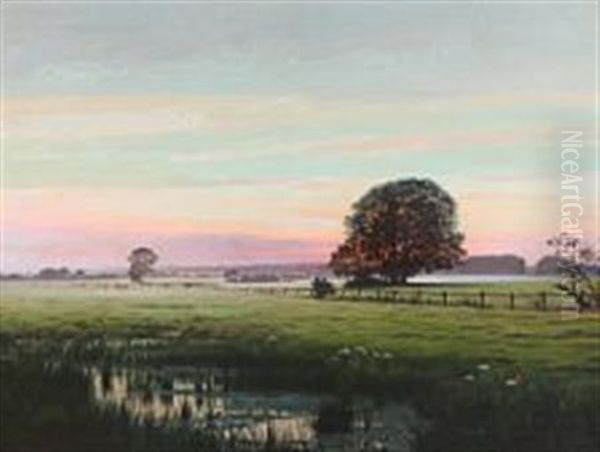Summer Evening At Spanager Enge, Koge - view 1