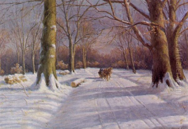 Winterwald Mit Pferdeschlitten - view 1