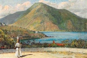 View Of The Danish West Indies