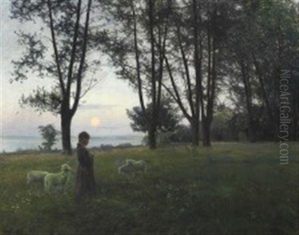 At The Outskirts Of The Forest, Evening - view 1