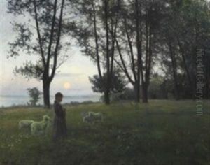 At The Outskirts Of The Forest, Evening