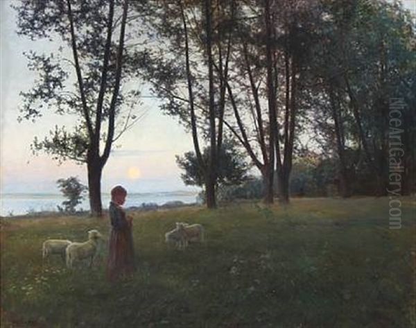 Sunset In A Forest Glade With A Young Girl And Sheep - view 1