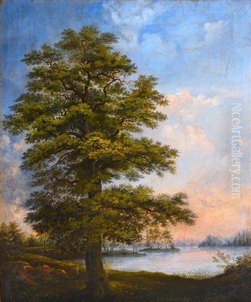 Tree By The Shore - view 1