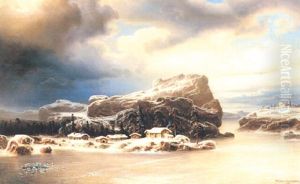 Snoklatt Vinterlandskap Snoklatt Vinterlandskap