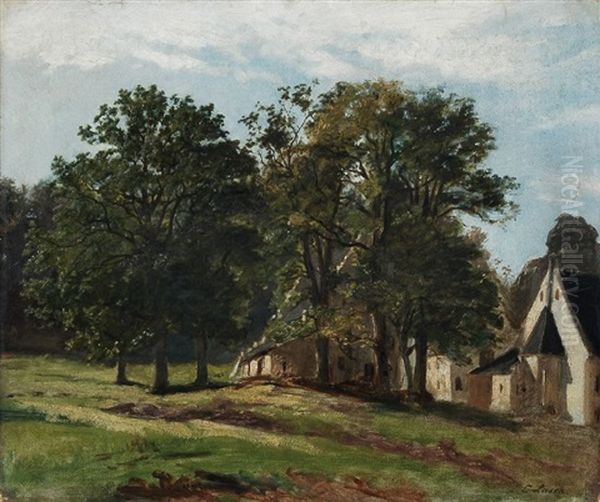 Wiese Am Dorfrand - view 1