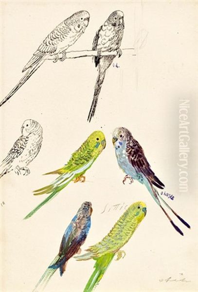 Vogelstudie - view 1