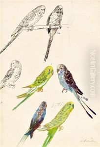 Vogelstudie by Oskar Laske