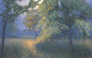 Sommerliche Wiesenlandschaft Sommerliche Wiesenlandschaft