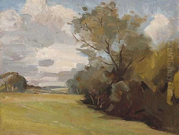 Landscape - view 1