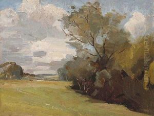 Landscape Landscape