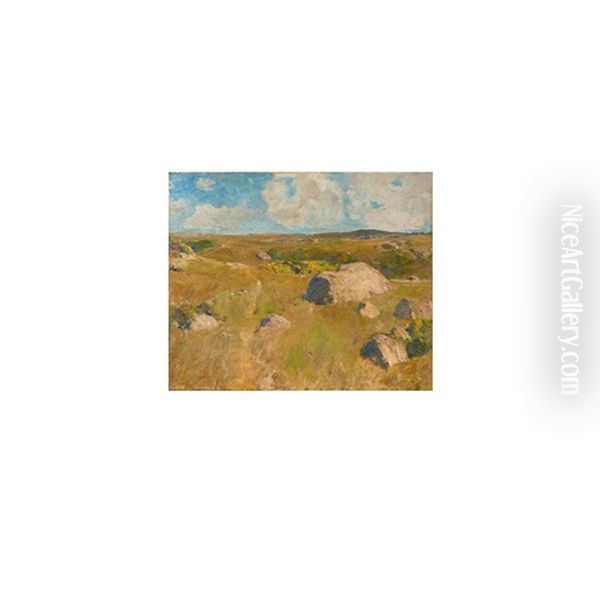 Martha's Vineyard Pasture - view 1