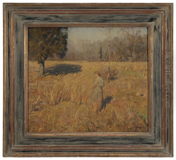 Autumn Field - view 1