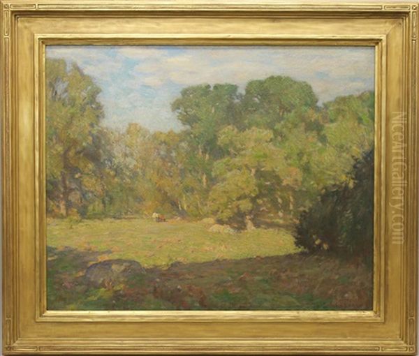 Forest Glade - view 1