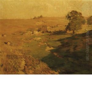 Fields In The Afternoon