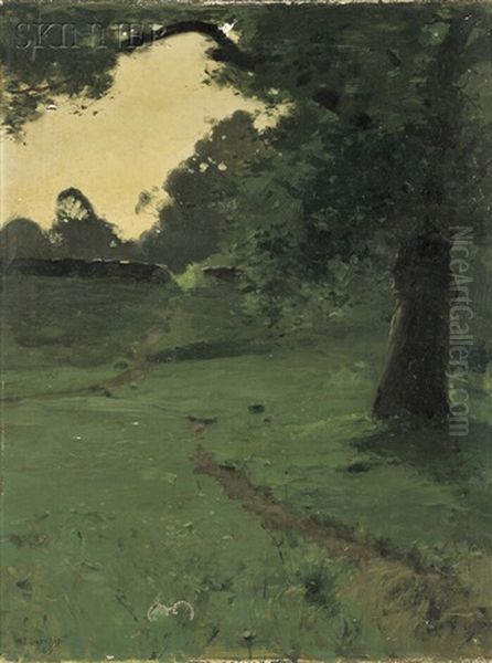 View Of A Path Through A Glade At Dusk - view 1