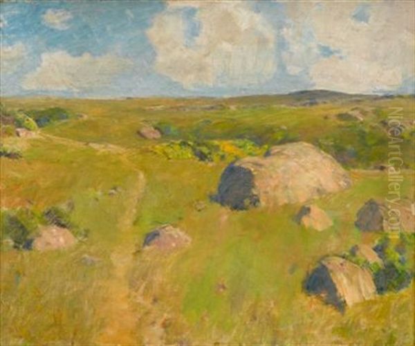 Martha's Vineyard Pasture - view 1