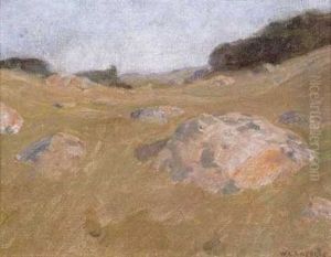 Naushon Pasture