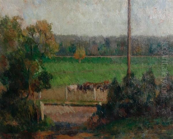 Cows At Rodwell - view 1