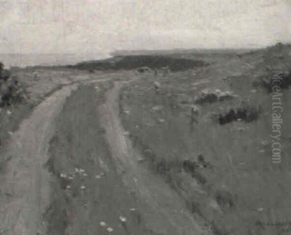 The Cliff Road, Montauk - view 1