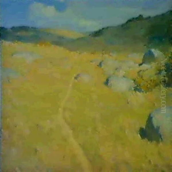 Hills Of Naushon - view 1
