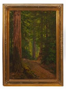 Road Through A Redwood Forest