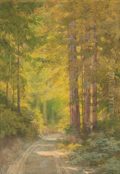 Winding Road In A Forest Interior - view 1