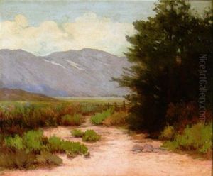 A Glimpse Of Washoe Lake, Nevada