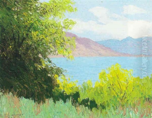View Of Bay Through Trees - view 1