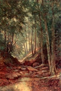 Path Through The Forest