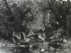 River In Spring Time