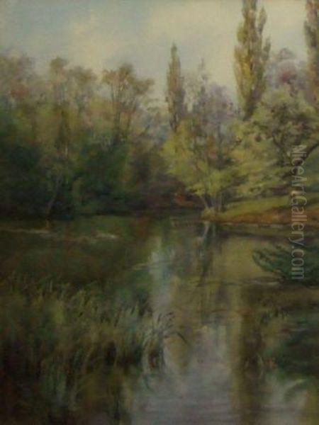 A Quiet Pool - view 1