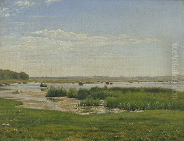 Sommerlandschaft Im Mariagerfjord - view 1