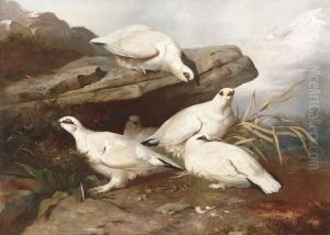 Five Ptarmigans On A Rock Ledge by Giovanni Bellini