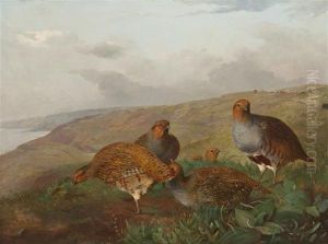 Quail Family by John Christopher Bell