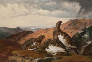 Three Grouse by John Christopher Bell