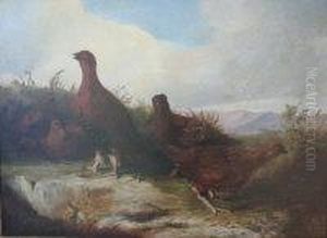 Covey Of Grouse by John Christopher Bell